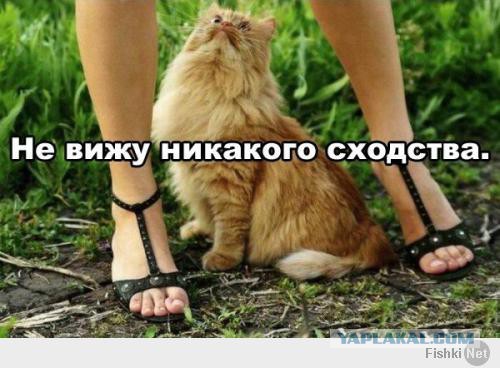 Немного позитива на пятницу