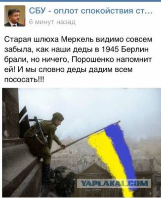 Хохлов кинули