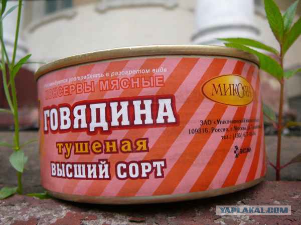 51 банка тушенки