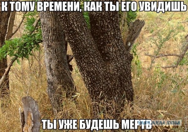 Свежие картинки из сети