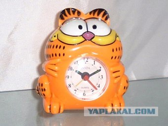 Кошки-мышки