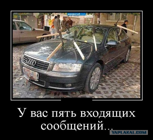 Давно демотиваторов не было