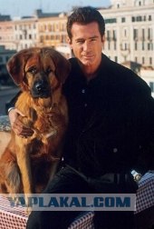 Дикий Ангел и другие сериалы молодости 90-х