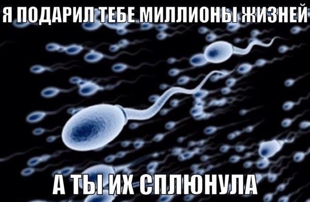 Смешные картинки