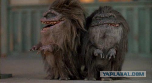 Анти-депрессивные коты Валерия Хлебникова