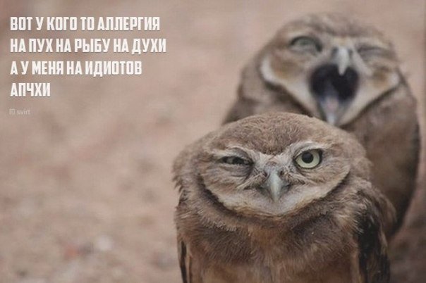 Закуток граммарнаци