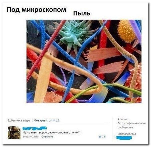 Смешные комментарии из социальных сетей 19.08.15