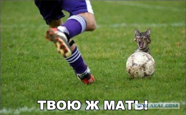 Картинки разные