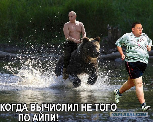 Подборка злободневных политических картинок
