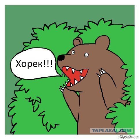 Хорёк поймал кошку и ...!