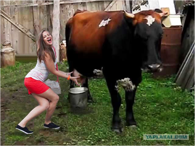 Фотожаба: чего-то хочется....