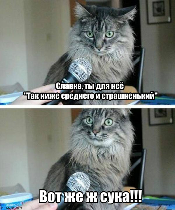 У меня грустные новости для соЯПовца. Слава Новиков тут есть?