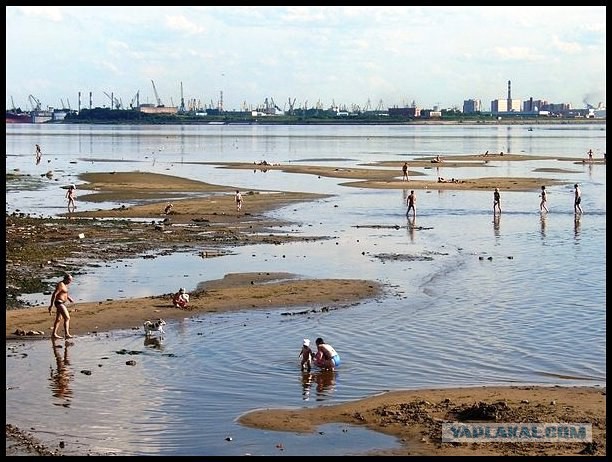В Петербурге засыпают море