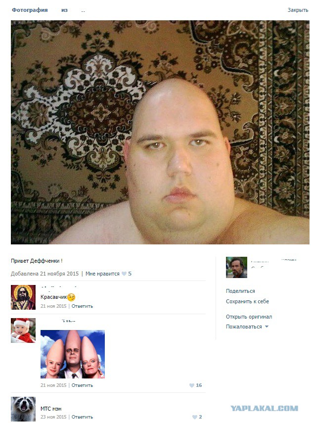 Свежая, утренняя, подборка картинок.
