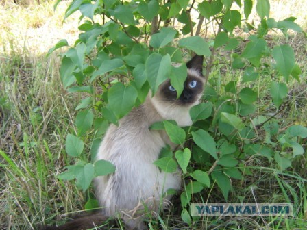 20 фото из серии "Как же хочется тепла"