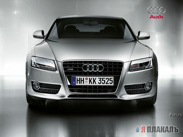 Audi A5 - ЗВЕРЬ!