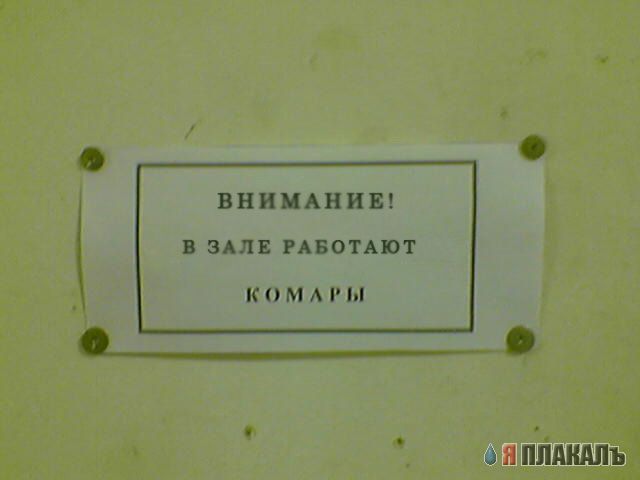 Фотожаба: Обьявление от комаров