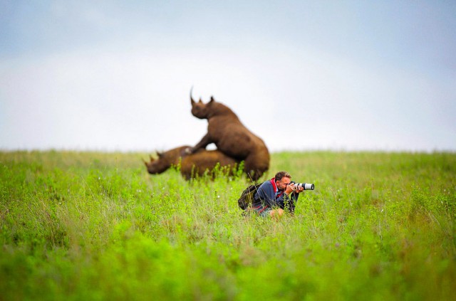 Подборка странных снимков из серии "Что тут, черт возьми, происходит?!"