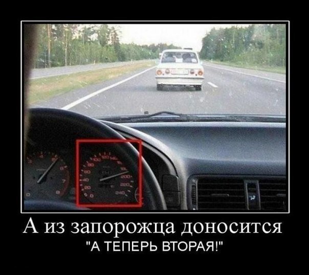 Ассорти картинок из сети