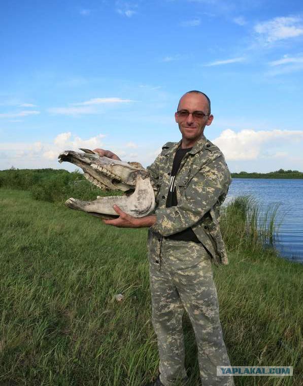 Смелые ЯПовцы.
