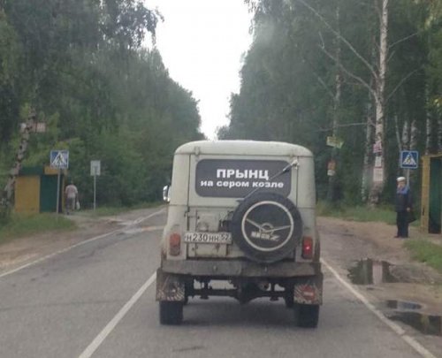 Два десятка картинок для позитивного настроения!