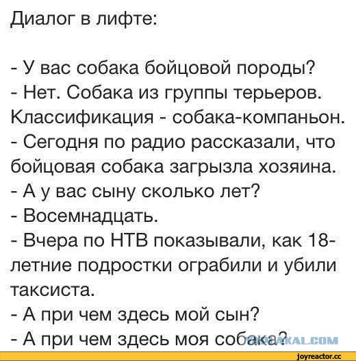 Самый большой в мире питбуль стал няней для малыша