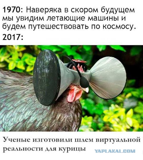 Юмор социальных сетей
