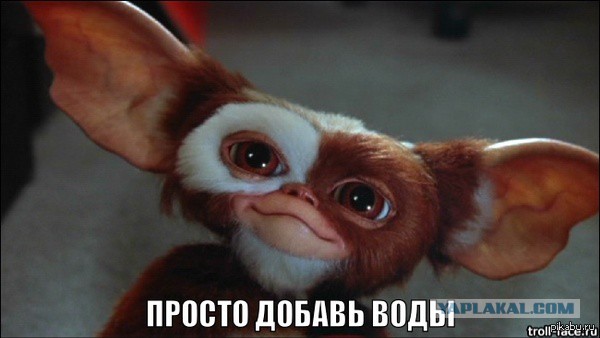 Когда начал рассказывать какой у тебя ласковый пёс
