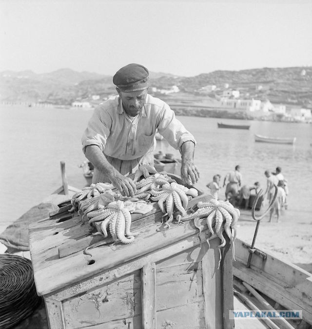 Средневековое застолье (Дню Повара посвящается!)