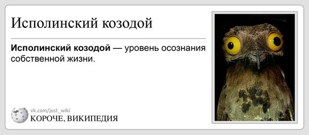 Идеальная маскировка