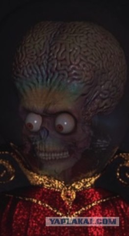 Перлы телеведущей Елены Малышевой