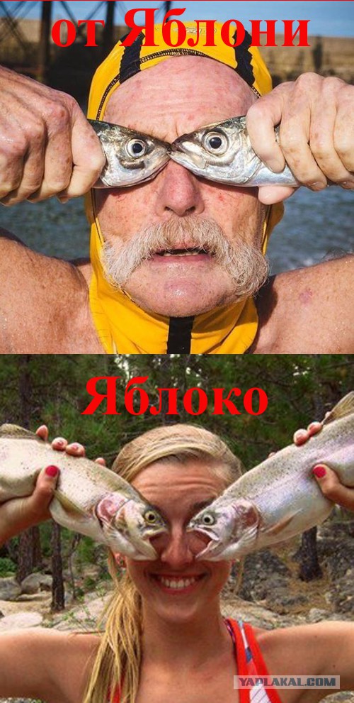 Зарядись позитивом