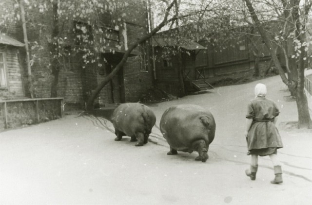 Подборка фото. Память