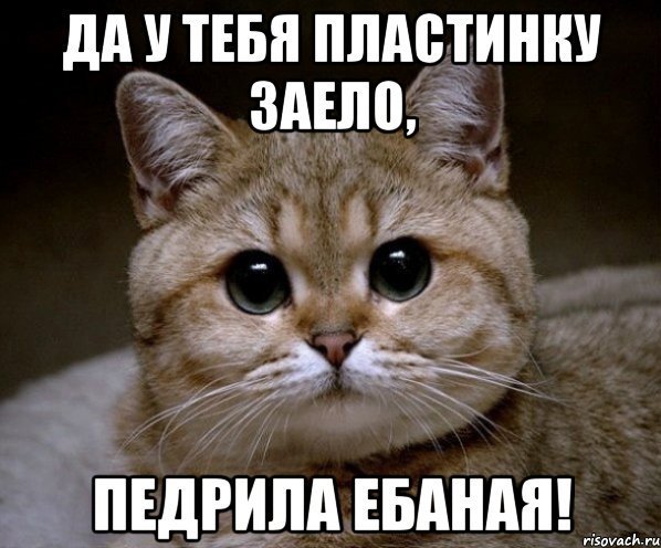 Самый безумный диалог о выборах
