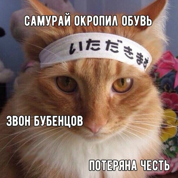 Не очень адекватный юмор