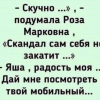 Бабы реально без срача не могут?
