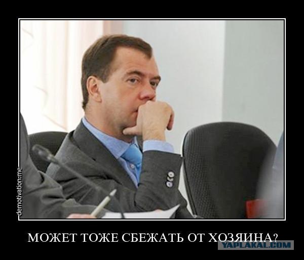 Дорофей убежал! Ещё один всё понял...