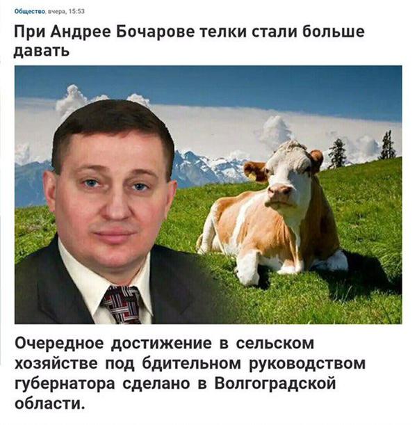 Немного картинок для настроения
