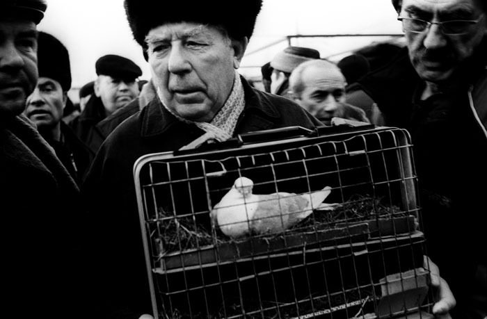 Птичий рынок москва старые
