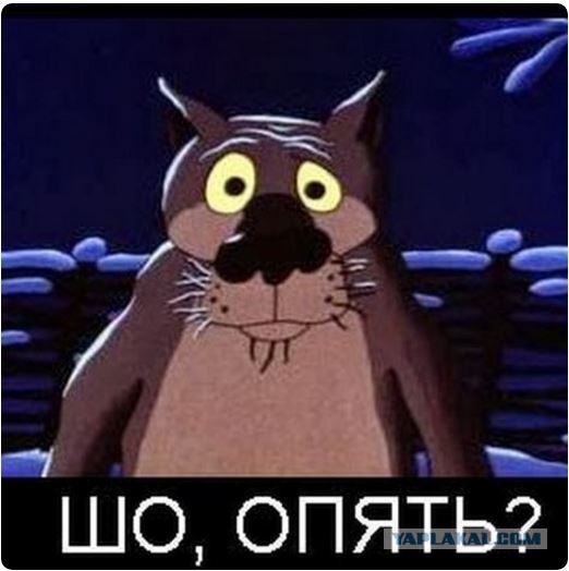 Поздно знакомиться даже с мамами с двумя?
