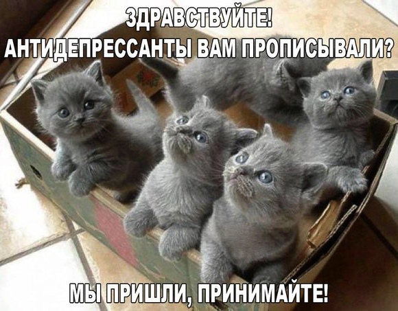 Бредзона 10.11.19
