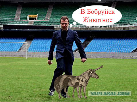 Фотожаба: Медведев футболист