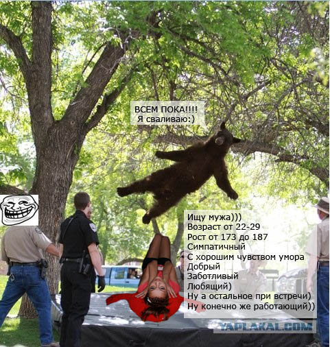 Мишка летун!