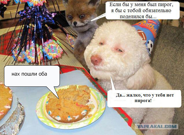 Таксидермия + наркомания