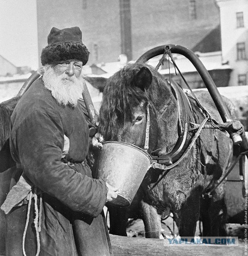 Про таксистов