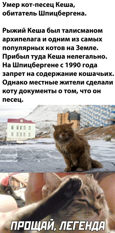 Весёлый полтишок 18.02