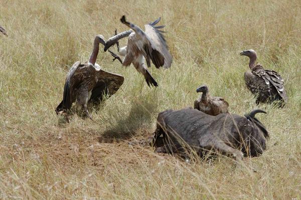 Последняя речь Гудкова в госдуме