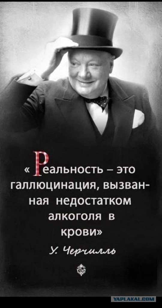 Весёлый полтишок 16.04
