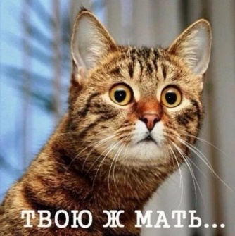 Галя! Туши свет. Страшно