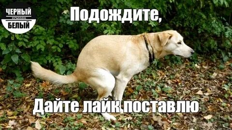Ядерный удар по Луне
